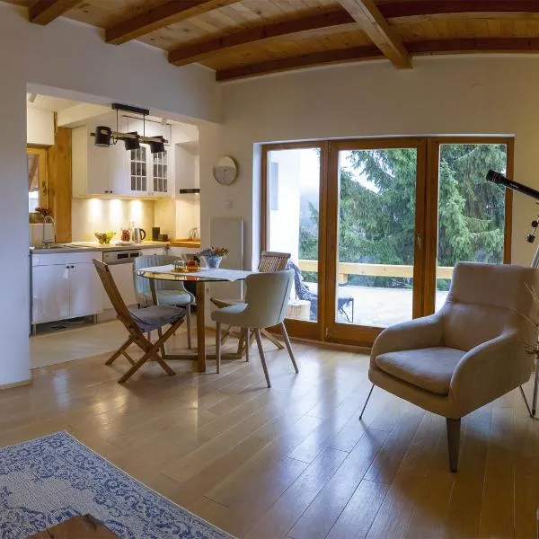 4Badgers / 4Jazavca - Mountain House, Hotel in Kopaonik