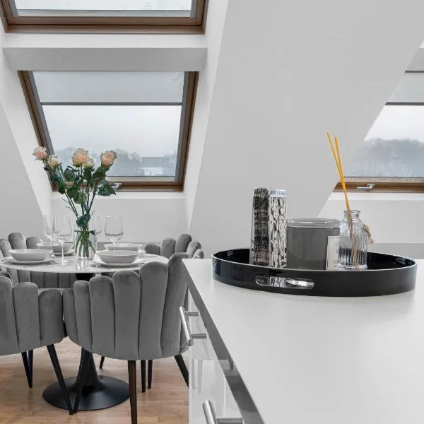 Kaunas Old Town apartment with underground parking, hotel in Kaunas