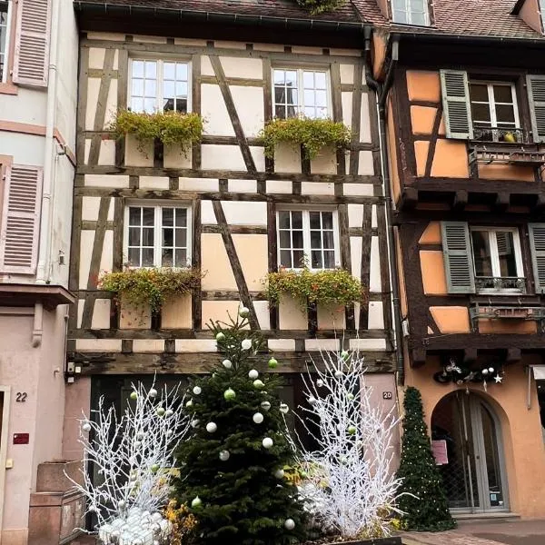 Les Suites Du Cygne, hotel in Colmar