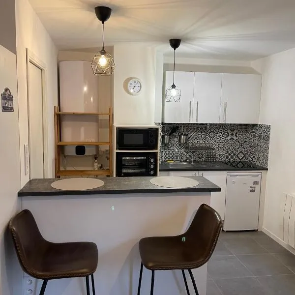 Épinal : superbe appartement en plein centre ville, hotel in Épinal