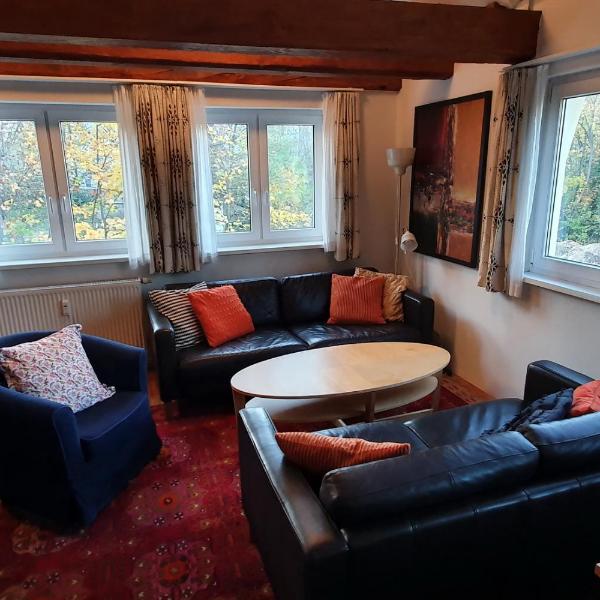 Campus Apartment Martin, Dresda
