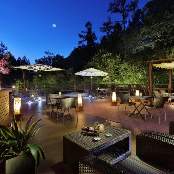 Hotel Ryu Resort and Spa, hotel v destinaci Takajama