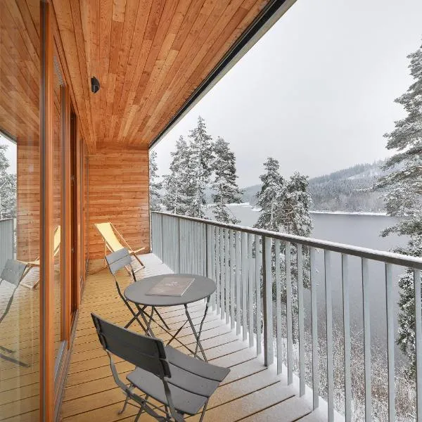 Element Lakeside Apartments, hotel v destinaci Lipno nad Vltavou