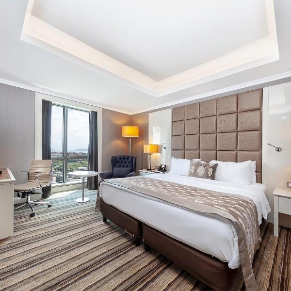 Dedeman Bostanci Istanbul Hotel & Convention Center, Stambuł
