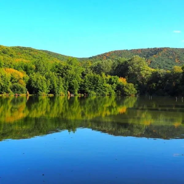 Bubánatvölgy Cseresznyevirág vendégház, ξενοδοχείο στο Έστεργκομ