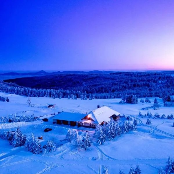 Hotel Krušnohorský Dvůr, hotel in Cínovec