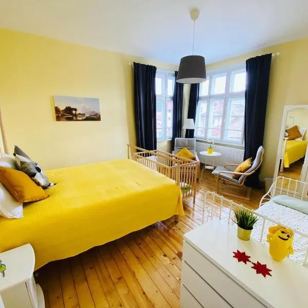 TÁNIN HOUSE - Three-bedroom apartment, sauna and gym 10' away from Borovets, ξενοδοχείο στο Σάμοκοβ