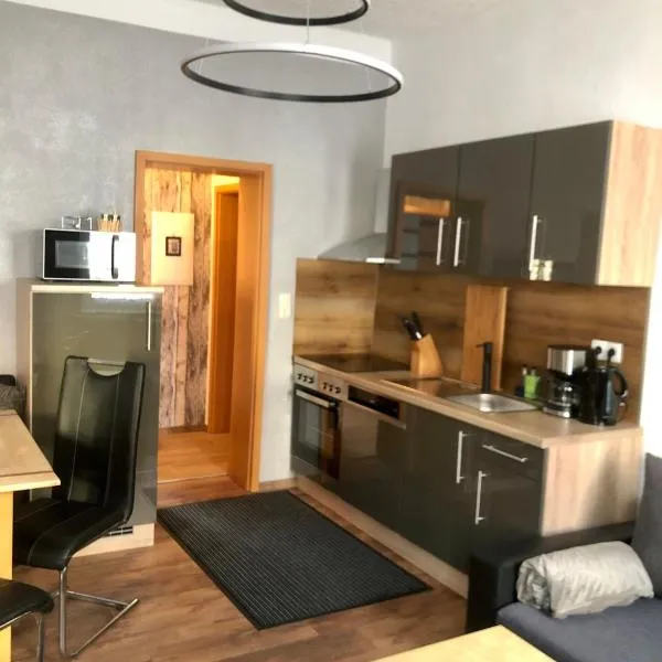 Delux Ferienwohnung Kunstgalerie und Ilmradweg, Hotel in Kranichfeld