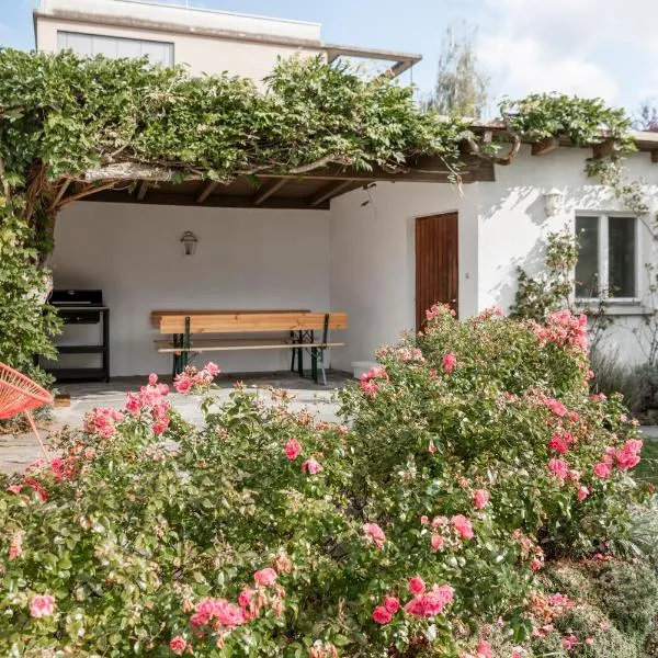 Haus im Zentrum mit Garten，位于布雷根茨的酒店