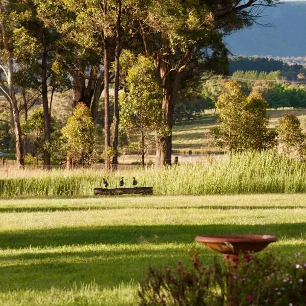 Marigold Cottage, A Blue Mountains Oasis- Spacious, Views & Kangaroos, hotel in Little Hartley
