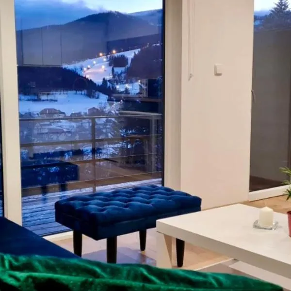 Apartamenty Widokowe Na Szczycie、コルビエルフのホテル