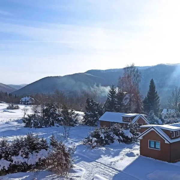 Wetlina 21, hotel in Wetlina