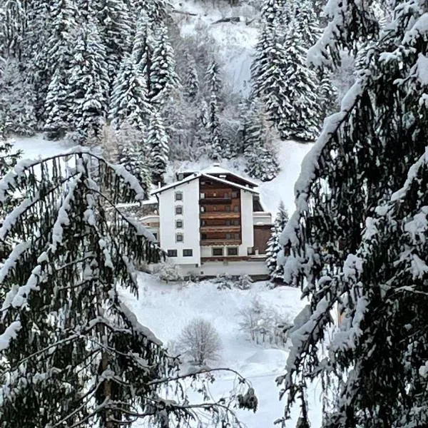 Hotel Buckelhof - See - only 20 min from Ischgl, hotel in See