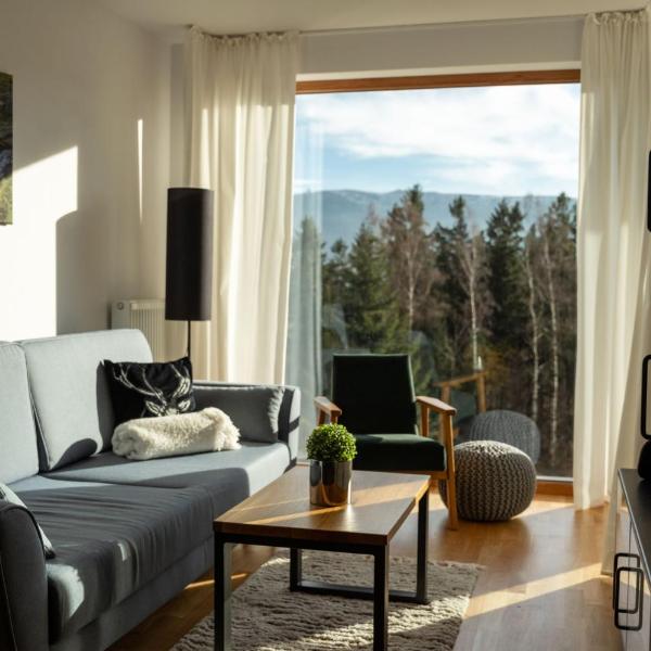 Apart Invest Widok 800 C7, Szklarska Poręba