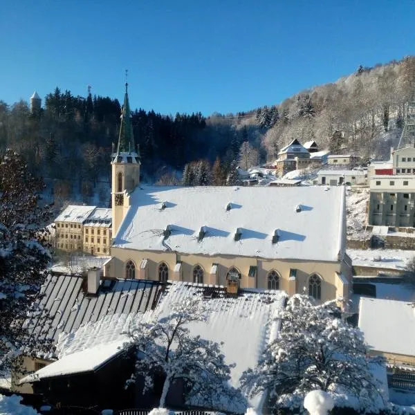 Apartmán Albreit 1, ξενοδοχείο σε Jáchymov