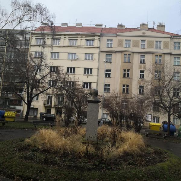 Economy flat 18 minutes from Vaclavske namesti, Praga
