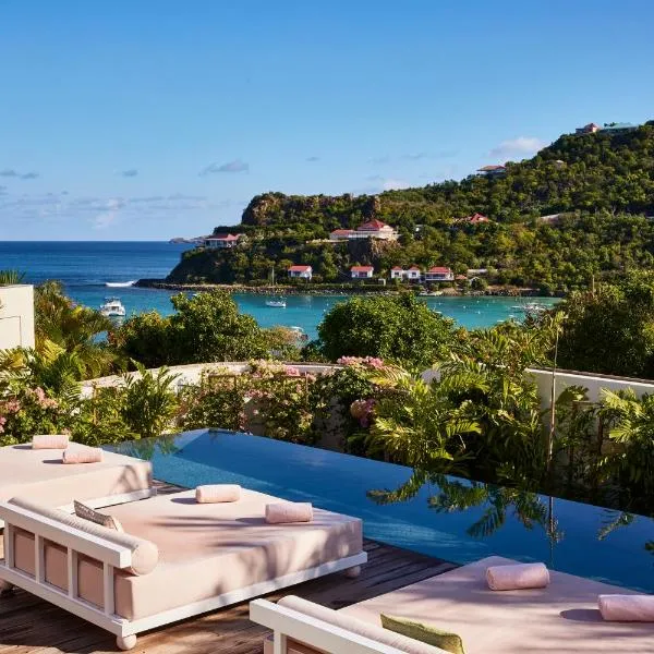 Tropical Hotel St Barth，位于古斯塔维亚的酒店