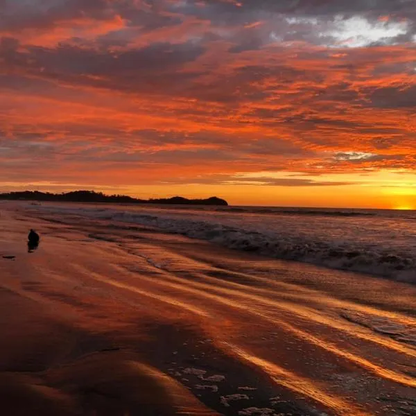 Seaside Garden Ecolodge Mompiche, hotel a Mompiche