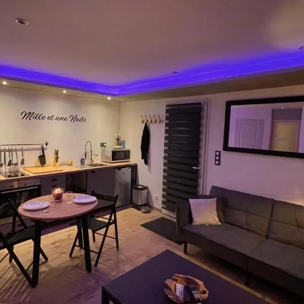 Mille et une nuit, appartement classé 3 étoiles en RDC avec exterieur et parking, Hotel in Dole