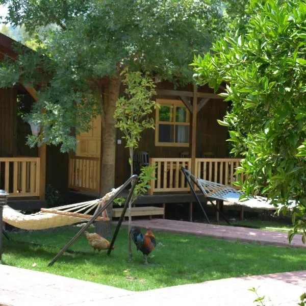 Caretta Caretta Pension, hotel in Çıralı