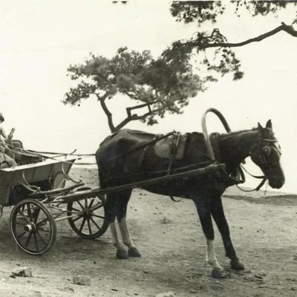 Orhan Kutbayin Evi, hotel v destinaci Buyukada