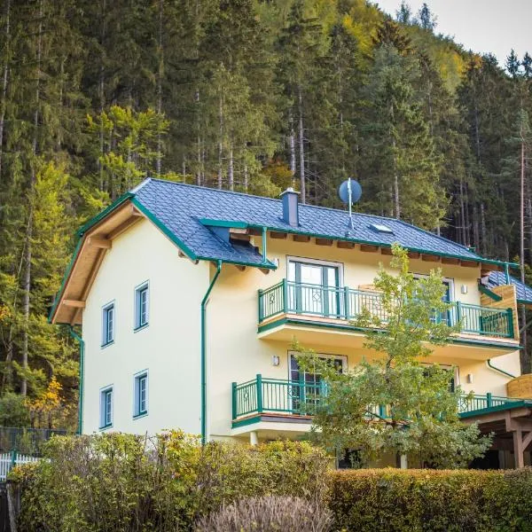 Appartement Hess Hinterstoder, hotel v destinaci Hinterstoder