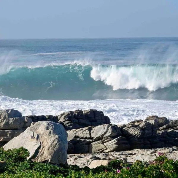 Whales & Waves, hotel in Hermanus
