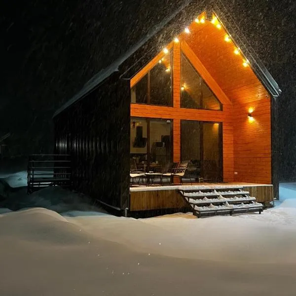 Barn S&S House, hotel en Mykulychyn