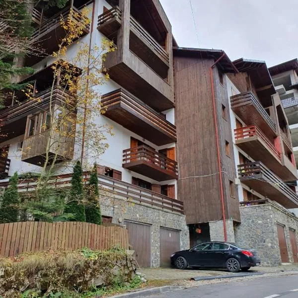 Mikerynos 1, hotel v destinaci Sinaia