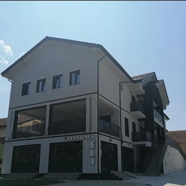 Pensiunea Eli, hotell sihtkohas Buziaş