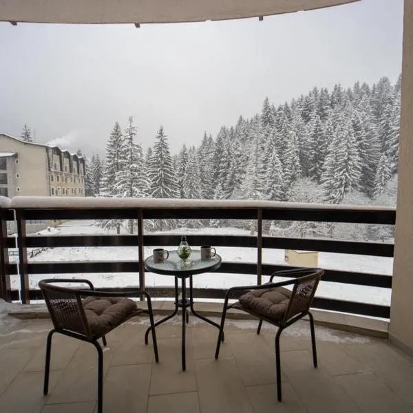 Postavaru Studio, Hotel in Poiana Brașov