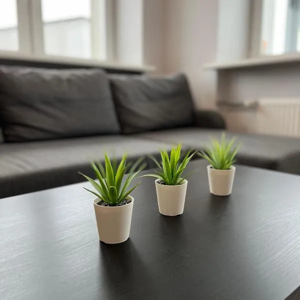 Akmene Center Apartment, hotel in Naujoji Akmenė