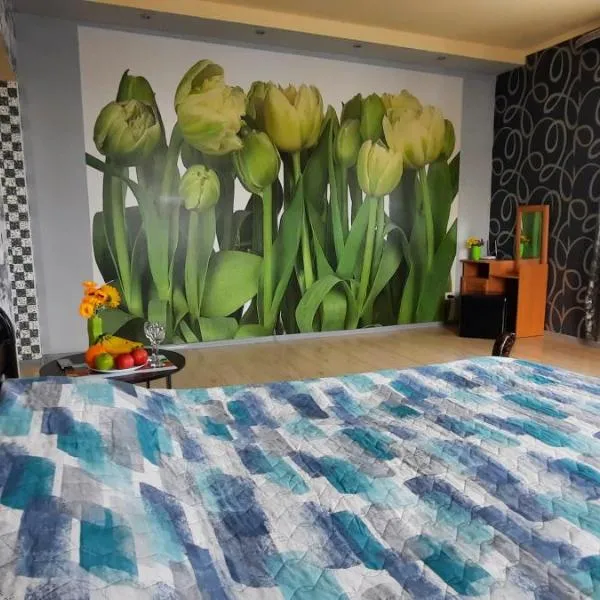 Apartments on Rodnikovoy, hotel in Kharkiv