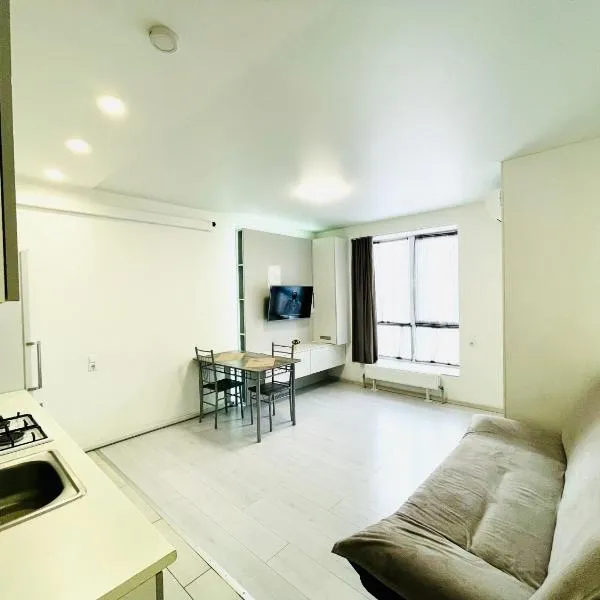 RIVER PARK euro two-roomed flat, hotel in Dnipro