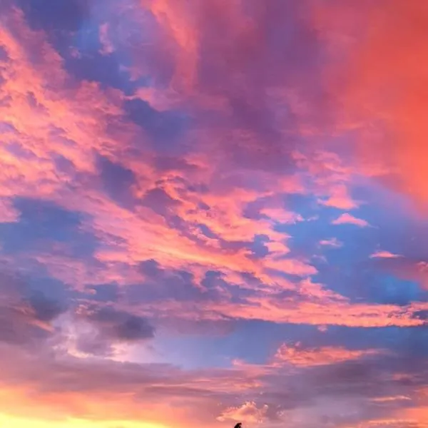 Rising Sun, hotel in Russell Island