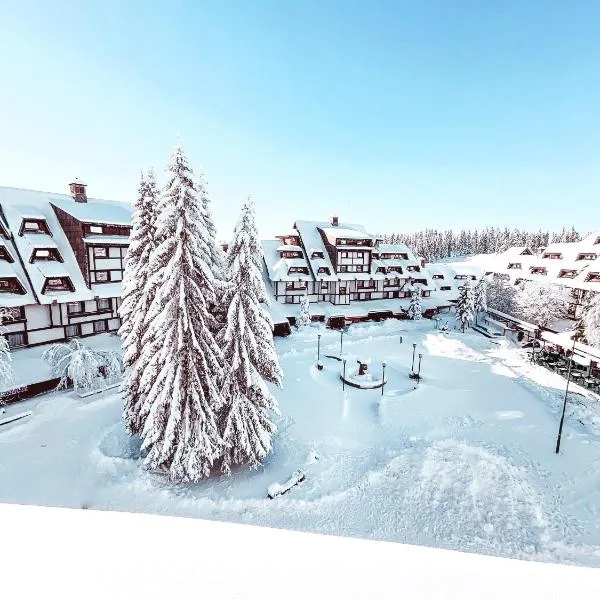 Apartments Suncani Vrhovi Kopaonik，位于科帕奥尼克的酒店
