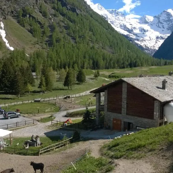 La Ferme du Grand Paradis, hotel in Cogne