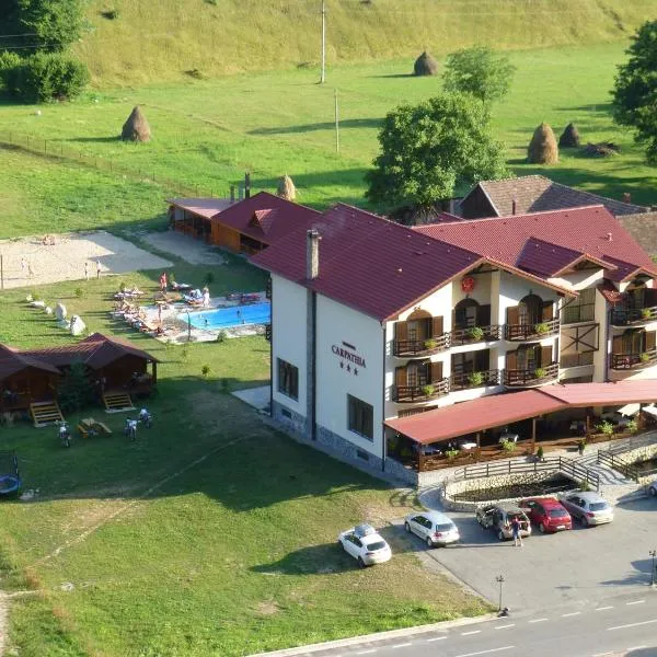 HOTEL CARPATHIA, hotel in Remeţi