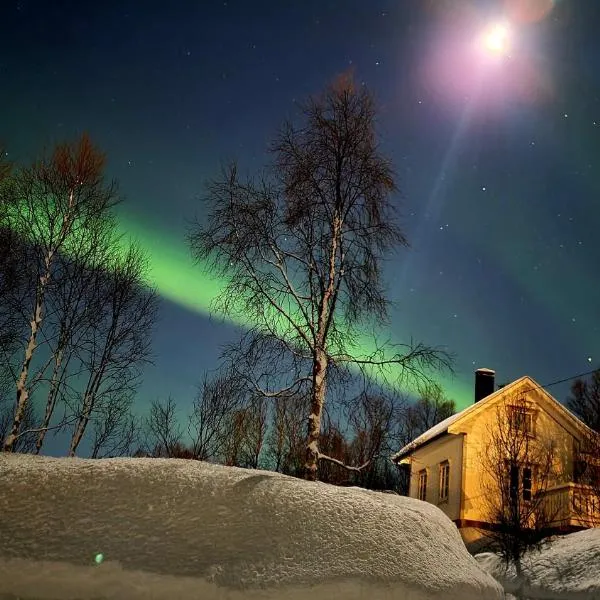 Cabin magic on Senja, atmosphere like a fairytale, hotel in Botnhamn