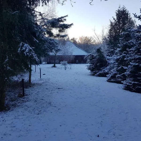 "Grzesiówka", hotell sihtkohas Czarnożyły