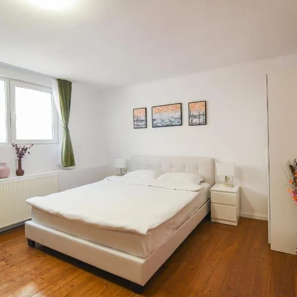 브라쇼브에 위치한 호텔 Transylvania Guest House