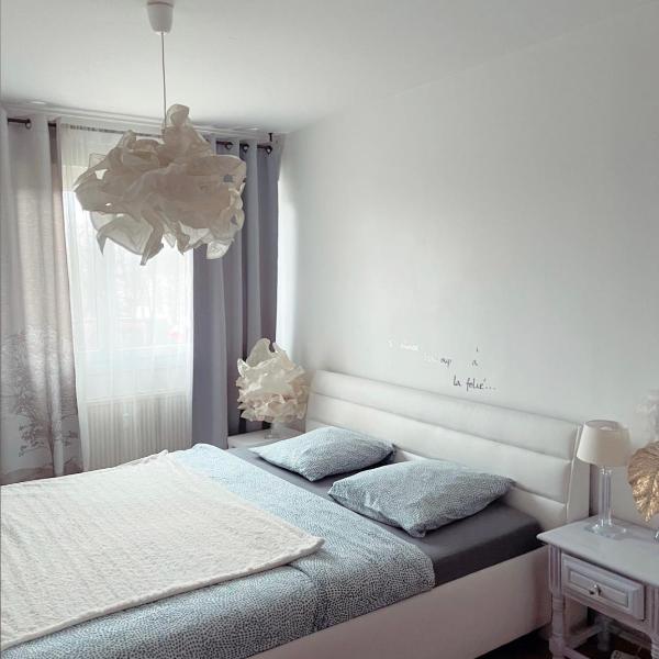 Bel Appartement near Bâle Mulhouse Airport
