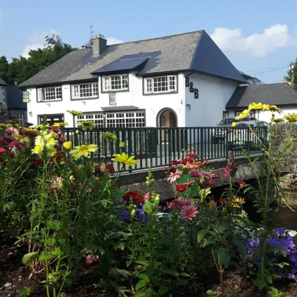Ryan's River Lodge B&B, Hotel in Cong