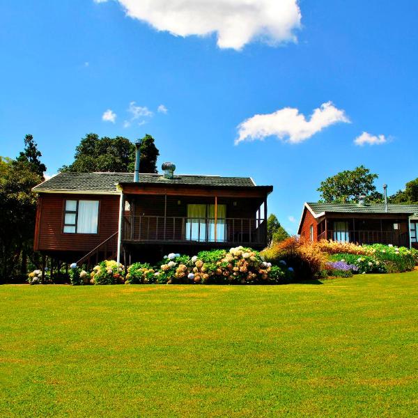 Forest View Cabins