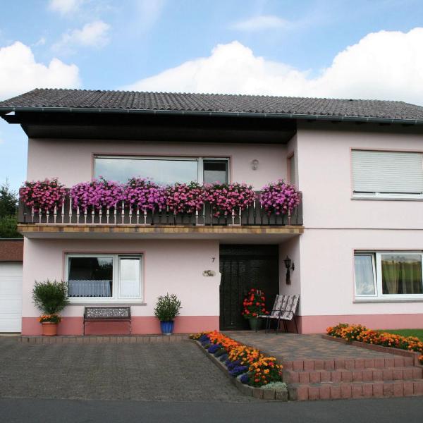 Apartment in the centre of the Eifel