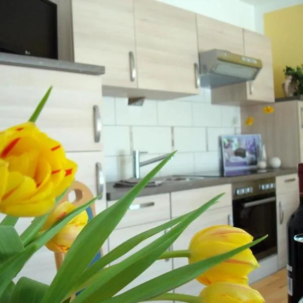 Ferienwohnungen Heideidylle, Hotel in Amelinghausen