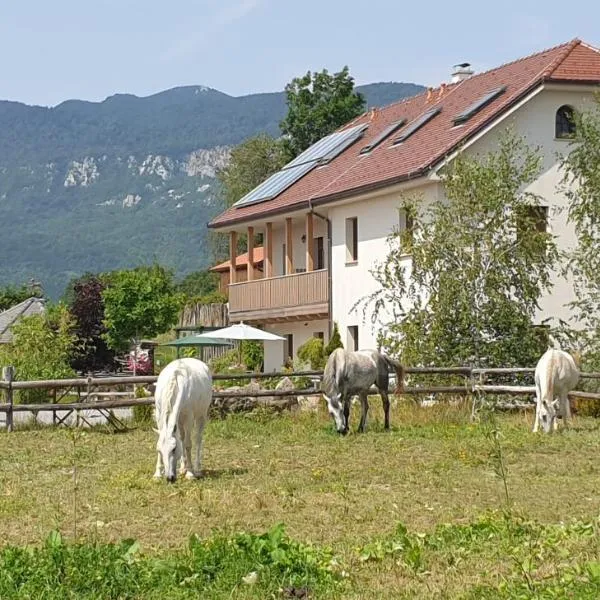 Lipizzaner Lodge Guest House, hotel v destinaci Postojna