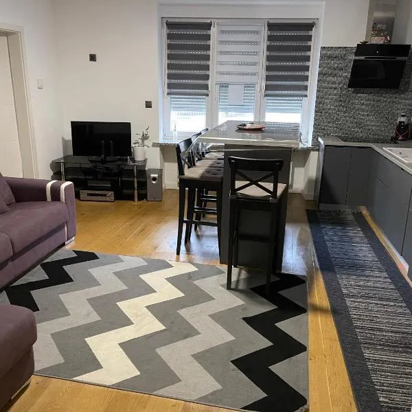 Superbe appartement au RDC avec parking gratuit, hotel in Villerupt