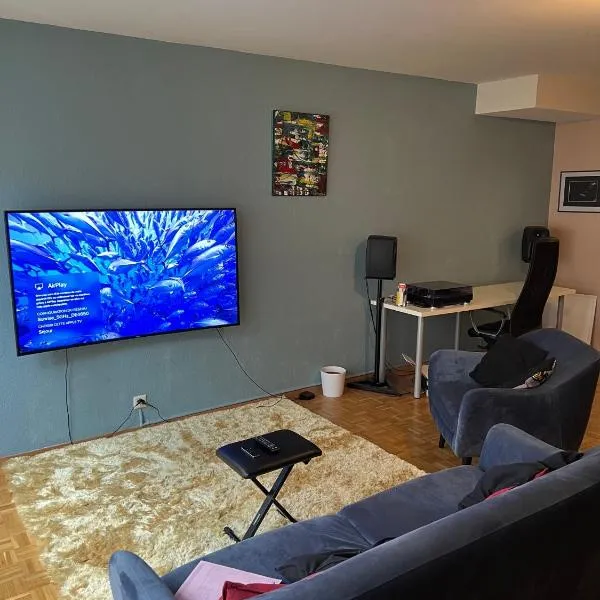 Beautiful Large Studio in center of Geneva Free Wifi, hotel in Geneva