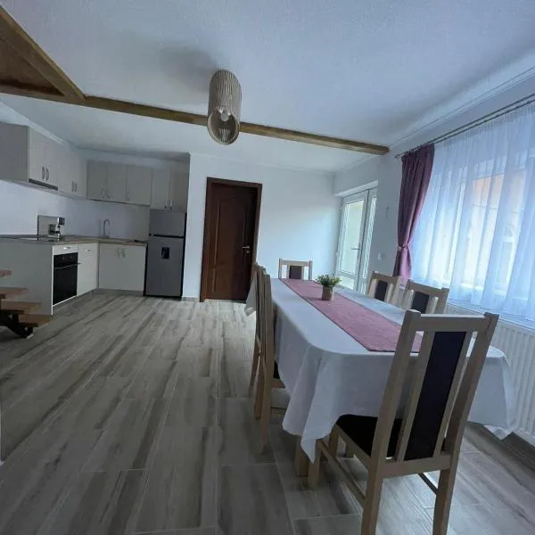 Casa Zorilor、シュガグのホテル